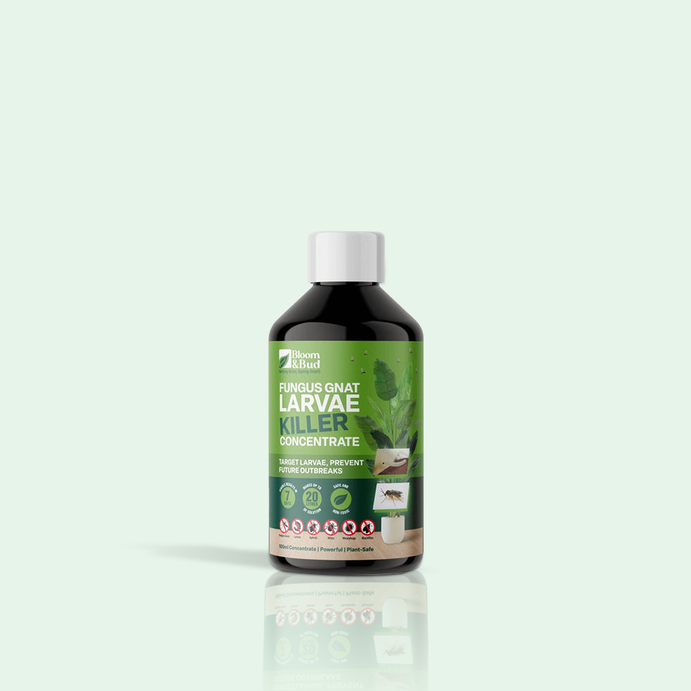 Bloom & Bud Fungus Gnat Larvae Killer - 100% Natural Concentrate