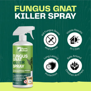 Fungus Gnat Killer Spray - Bloom & Bud