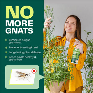 Fungus Gnat Killer Spray - Bloom & Bud