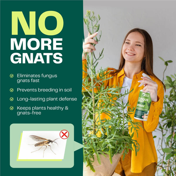 Fungus Gnat Killer Spray - Bloom & Bud