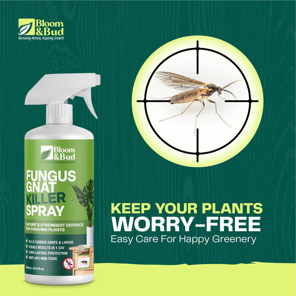 Fungus Gnat Killer Spray - Bloom & Bud