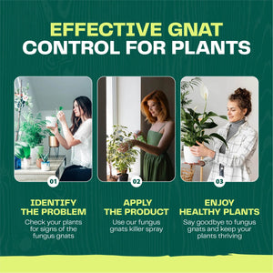 Fungus Gnat Killer Spray - Bloom & Bud