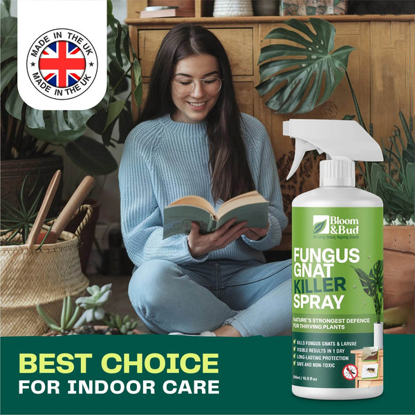 Fungus Gnat Killer Spray - Bloom & Bud