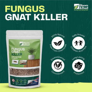 Fungus Gnat Killer - Bloom & Bud