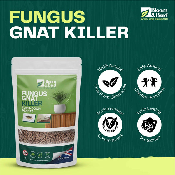 Fungus Gnat Killer - Bloom & Bud
