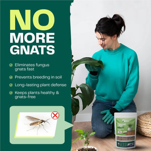 Fungus Gnat Killer - Bloom & Bud