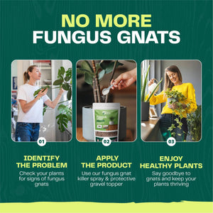 Fungus Gnat Killer - Bloom & Bud