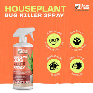 Houseplant Bug Killer Spray - Bloom & Bud