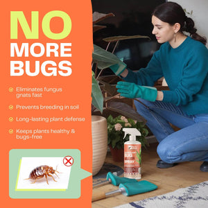 Houseplant Bug Killer Spray - Bloom & Bud