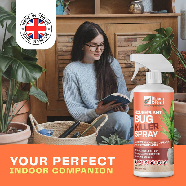 Houseplant Bug Killer Spray - Bloom & Bud