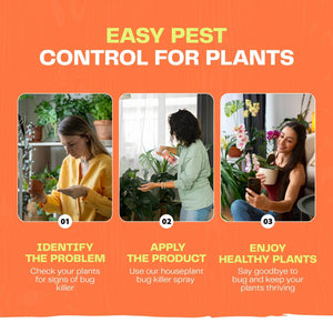 Houseplant Bug Killer Spray - Bloom & Bud