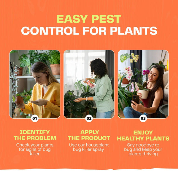 Houseplant Bug Killer Spray - Bloom & Bud