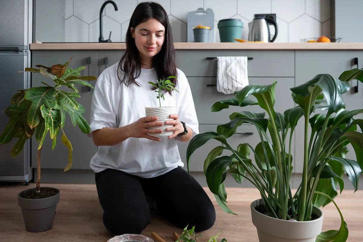 The Secret to a Bug-Free Home – Introducing Our House Plant Bug Killer Spray - Bloom & Bud