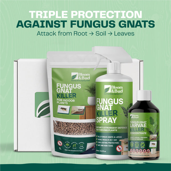 Ultimate Fungus Gnat Fighter Kit