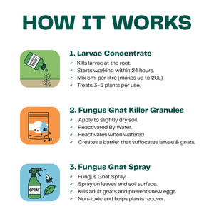 Ultimate Fungus Gnat Fighter Kit