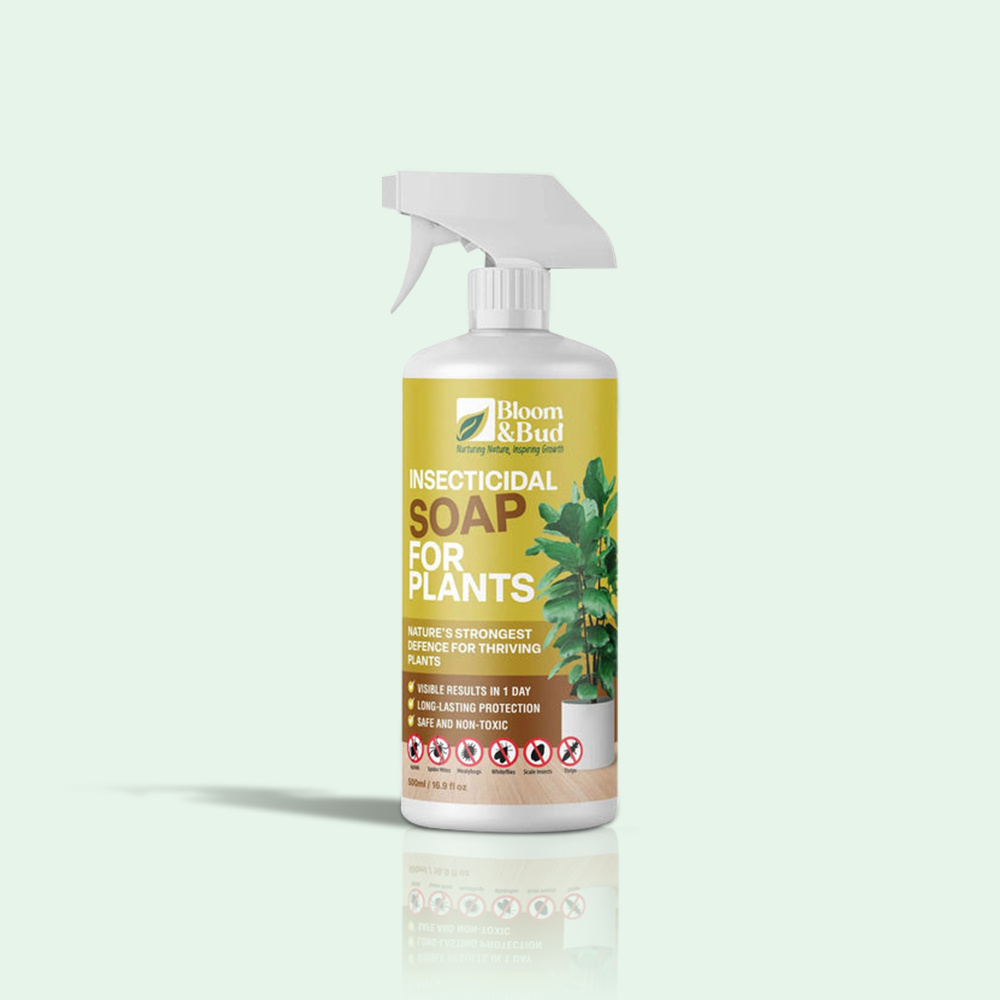 Insecticidal Soap for Plants