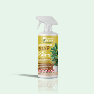 Insecticidal Soap for Plants