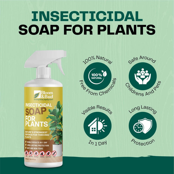 Insecticidal Soap for Plants - Bloom & Bud
