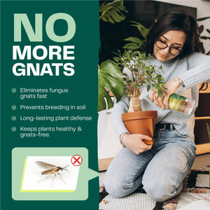 Insecticidal Soap for Plants - Bloom & Bud