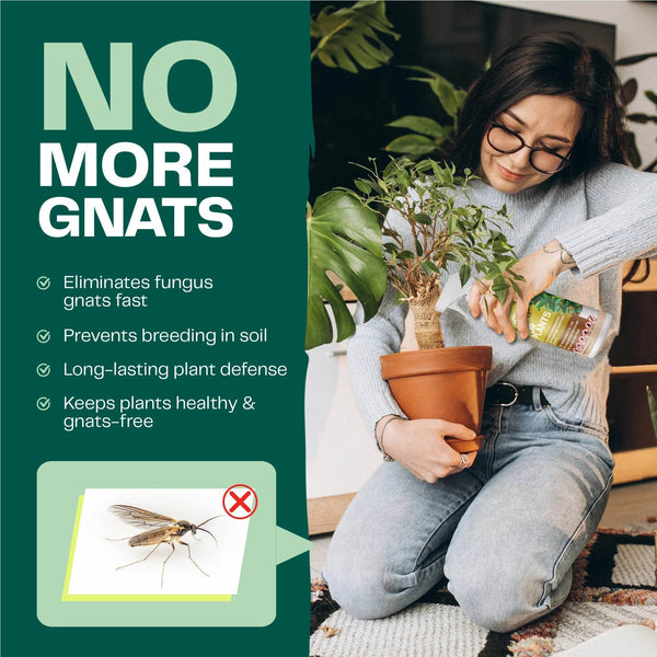 Insecticidal Soap for Plants - Bloom & Bud