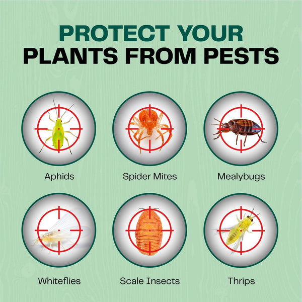 Insecticidal Soap for Plants - Bloom & Bud