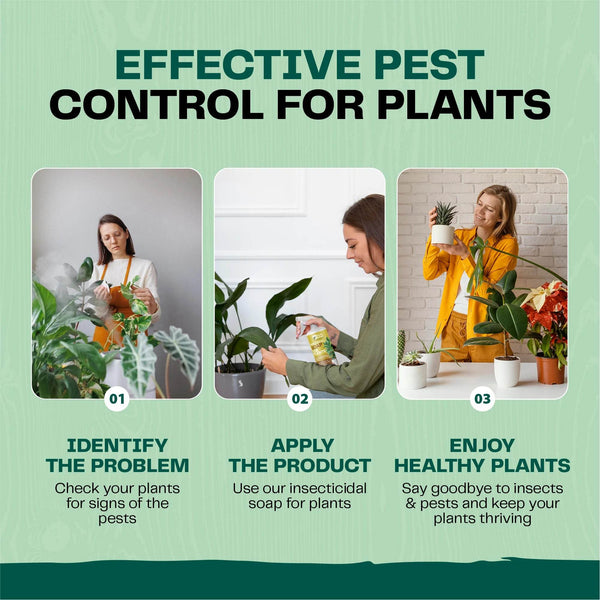 Insecticidal Soap for Plants - Bloom & Bud