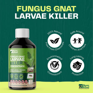 Bloom & Bud Fungus Gnat Larvae Killer - 100% Natural Concentrate - Bloom & Bud