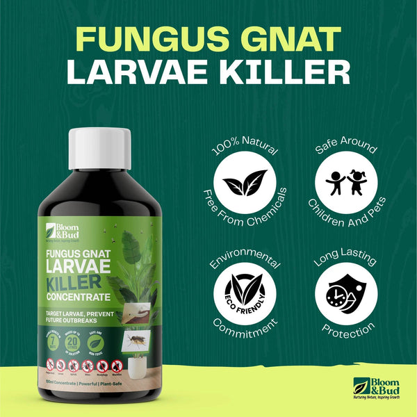 Bloom & Bud Fungus Gnat Larvae Killer - 100% Natural Concentrate - Bloom & Bud