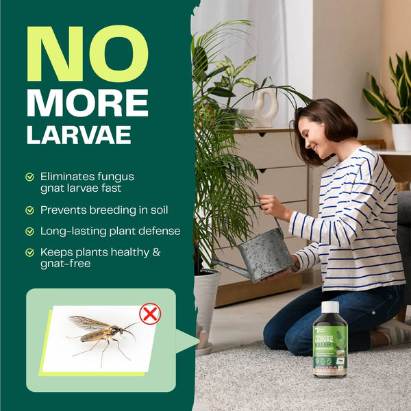 Bloom & Bud Fungus Gnat Larvae Killer - 100% Natural Concentrate - Bloom & Bud