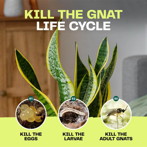 Bloom & Bud Fungus Gnat Larvae Killer - 100% Natural Concentrate - Bloom & Bud