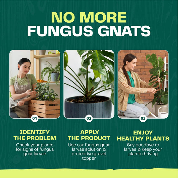 Bloom & Bud Fungus Gnat Larvae Killer - 100% Natural Concentrate - Bloom & Bud