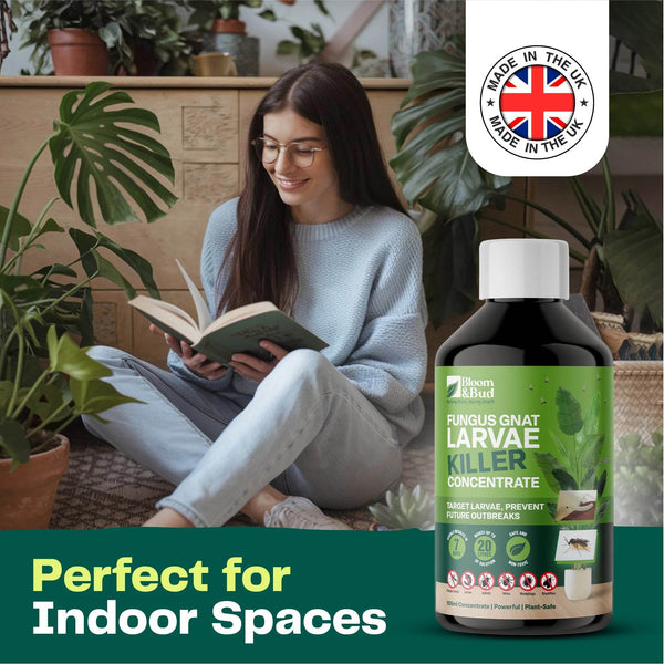 Bloom & Bud Fungus Gnat Larvae Killer - 100% Natural Concentrate - Bloom & Bud