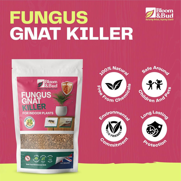 Fungus Gnat Dual 1L