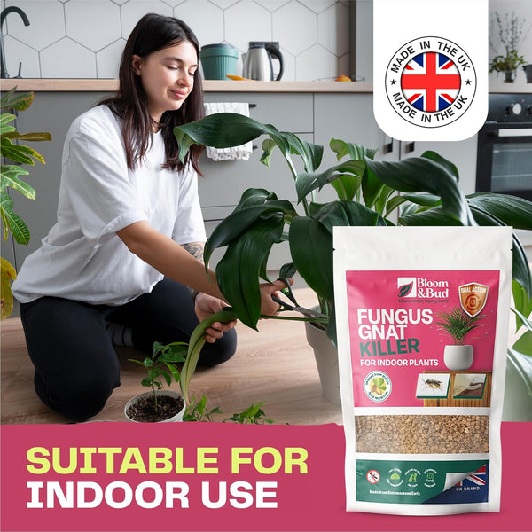 Fungus Gnat Dual 1L