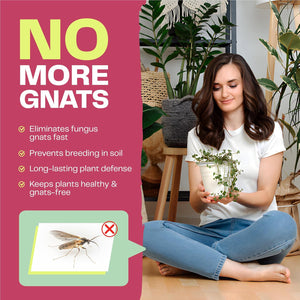 Fungus Gnat Dual 1L