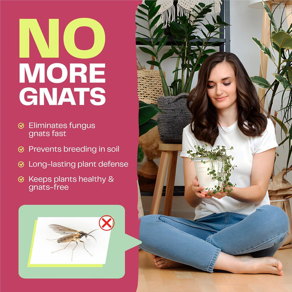 Fungus Gnat Dual 1L