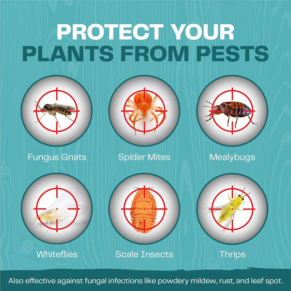 Neem Oil for Plants Spray