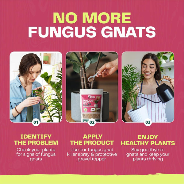 Fungus Gnat Dual 1L