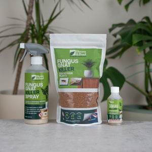 Bloom & Bud Ultimate Fungus Gnat Killer Bundle