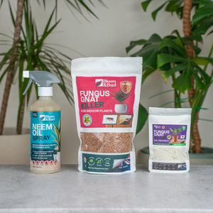 Bloom & Bud Plant Reviver Kit